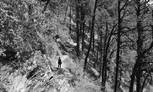 CfP: The Velvet Light Trap, Issue 83 – Politics of Space and Place. Deadline: Jan 15, 2018.