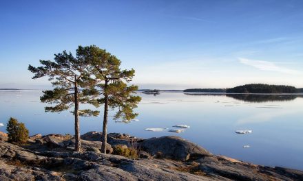 Call for chapters: “The Nordic Wave in Place Branding” Deadline: Jan 30, 2018.
