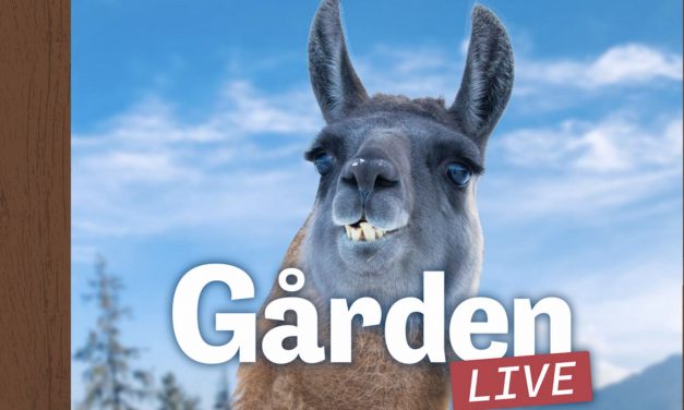 SCANDINAVIAN SLOW TV IS MOVING STRONGLY INTO THE 2020S – AND IS NOW ALSO FOR CHILDREN