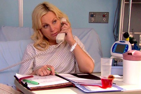 Fig. 2: Leslie Knope gets the flu right before an important fund-raising pitch for the Harvest Festival