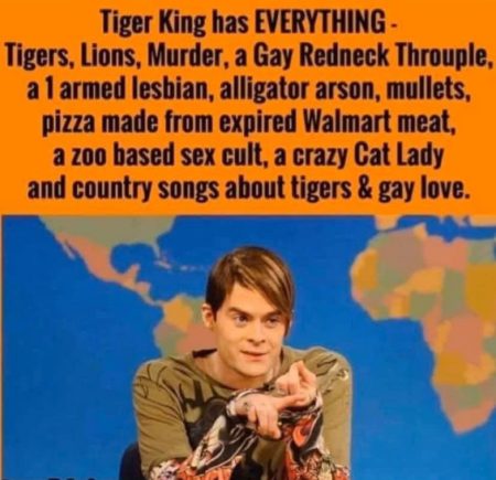 Fig. 3: Tiger King in Meme Country